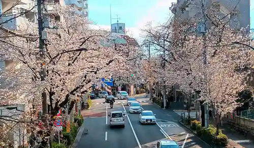 新井薬師（梅照院）(東京都)