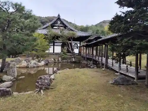 高台寺（高台寿聖禅寺・高臺寺）(京都府)