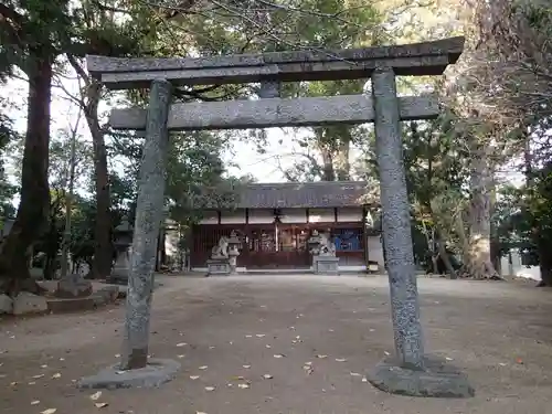 天太玉命神社の鳥居