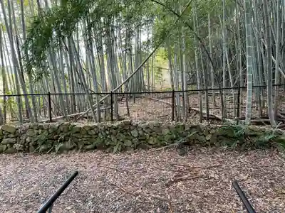 勝持寺（花の寺）(京都府)