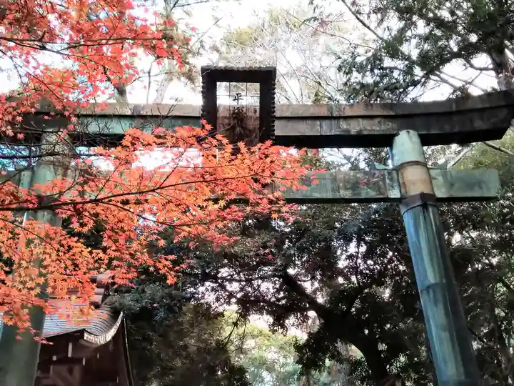 平塚八幡宮(神奈川県)