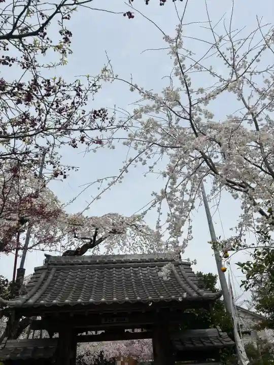 源空院(浅井寺)の{uncategorized: "未分類", other: "その他", undefined: "問題あり", building: "その他建物", grave: "お墓", sacred_gate: "鳥居", guardian: "狛犬", statue: "像", buddha: "仏像", history: "歴史", nature: "自然", garden: "庭園", animal: "動物", pagoda: "塔", temizu: "手水舎", mountain_gate: "山門・神門", sanctuary: "本殿・本堂", subordinate: "末社・摂社", art: "芸術", scenery: "景色", jizo: "地蔵", ema: "絵馬", goshuin: "御朱印", omikuji: "おみくじ", items: "授与品その他", amulet: "お守り", goshuincho: "御朱印帳", eats: "食事", festival: "お祭り", votive_dance: "神楽", shichigosan: "七五三参", wedding: "結婚式", experience: "体験その他", initially: "初詣", around: "周辺", anti_infection: "感染症対策"}