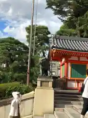 八坂神社(祇園さん)(京都府)