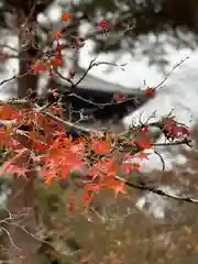 仁和寺の自然