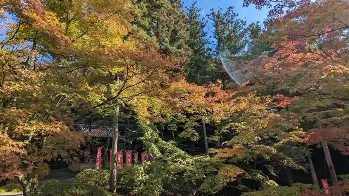 今熊野観音寺(京都府)