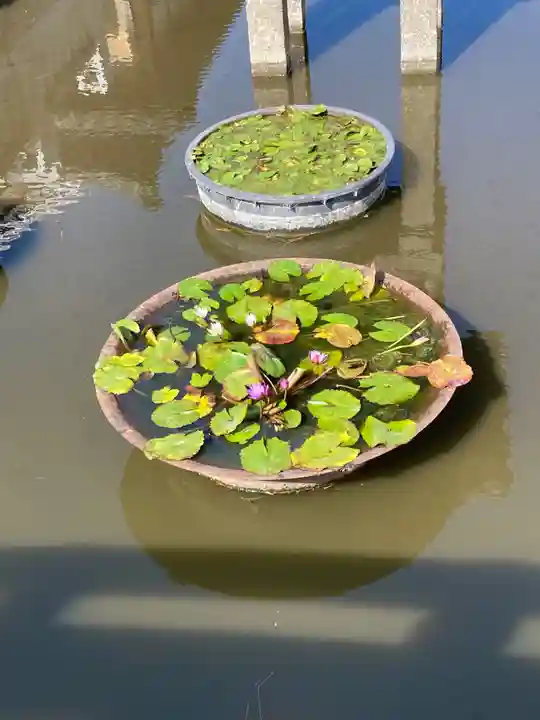 善通寺(香川県)