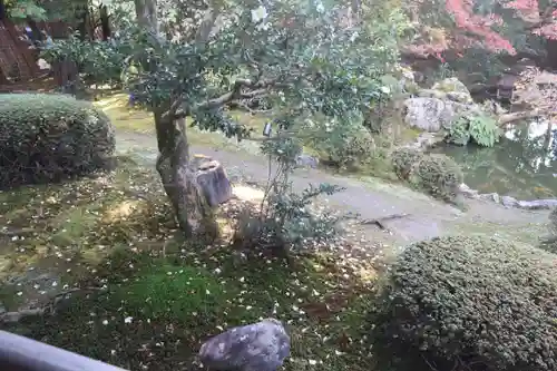 隨心院（随心院）の自然