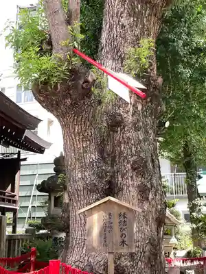 三輪神社(愛知県)