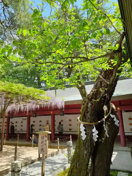 笠間稲荷神社の自然