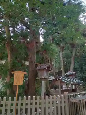 大神神社(奈良県)