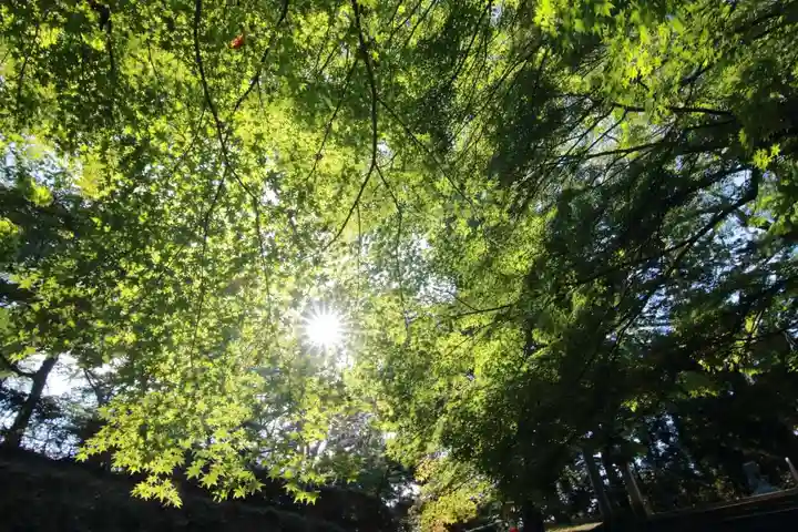三春大神宮の自然