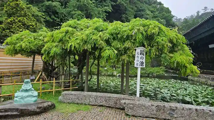出雲大社神楽殿(島根県)