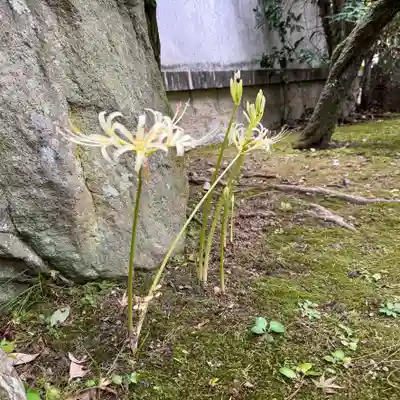 伊勢の国 四天王寺(三重県)