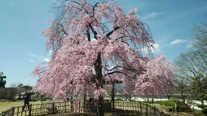 呉服神社の自然
