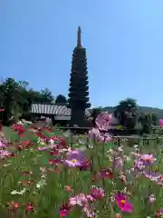 般若寺 ❁﻿コスモス寺❁の塔