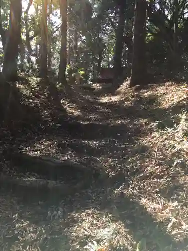 香取神社の自然