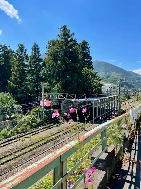 初鹿野諏訪神社(山梨県)