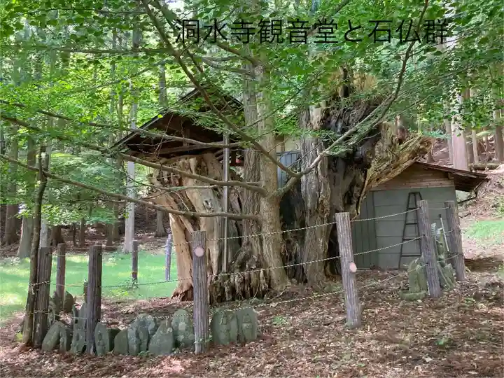 洞水寺(長野県)
