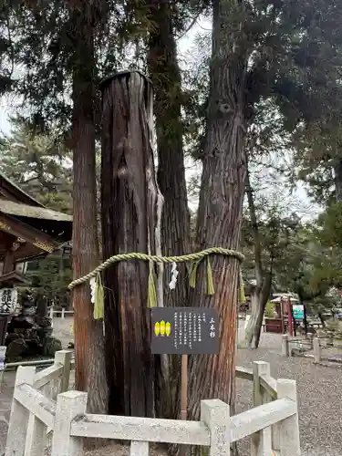 建部大社(滋賀県)