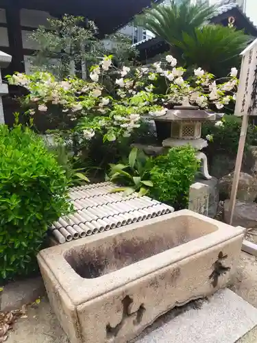 浜本山　源光寺(大阪府)