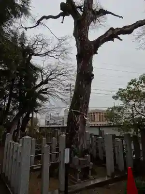 忠岡神社(大阪府)