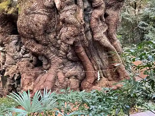 來宮神社の建物その他