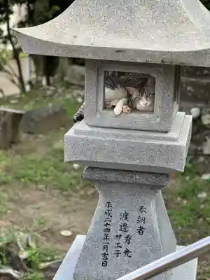 吾平津神社の動物