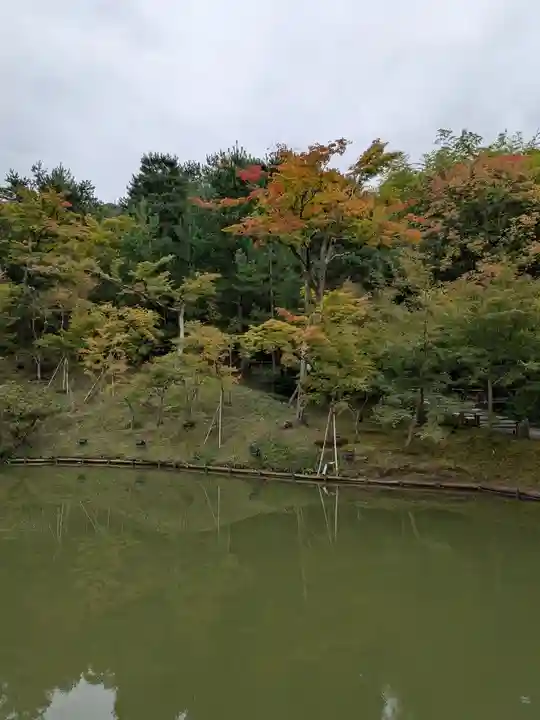 高台寺(高台寿聖禅寺・高臺寺)(京都府)