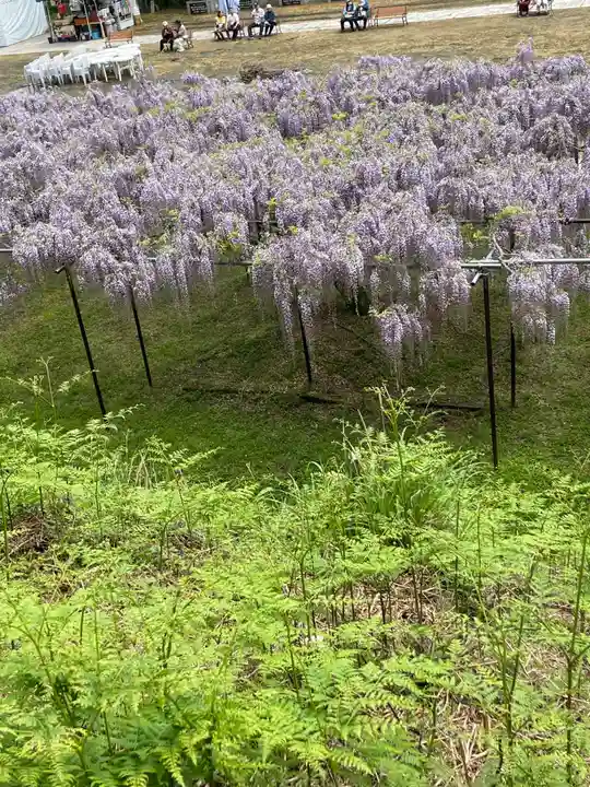 天台宗 五大山 白毫寺(兵庫県)