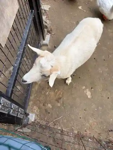 楽法寺（雨引観音）(茨城県)