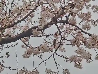 相武台神社(神奈川県)