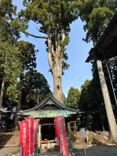 身延山奥之院思親閣のその他建物