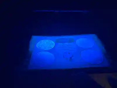 平安神宮(京都府)