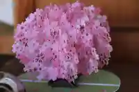 豊景神社の授与品その他