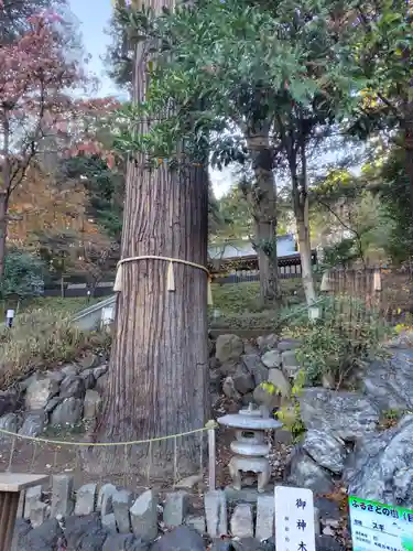 中氷川神社(埼玉県)
