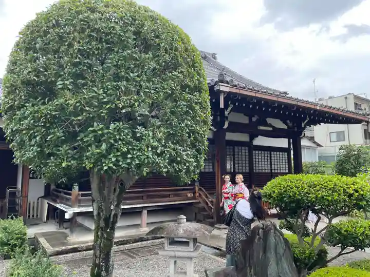 日體寺(京都府)
