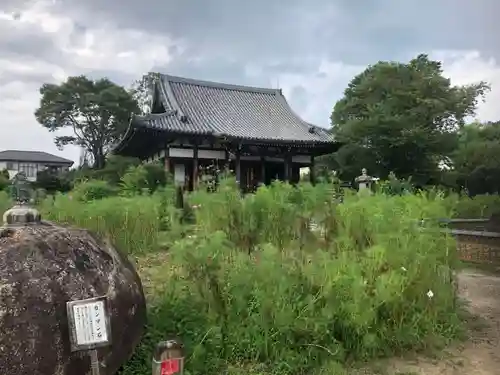 般若寺 ❁﻿コスモス寺❁のその他建物