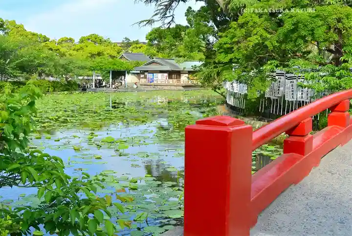 鶴岡八幡宮(神奈川県)