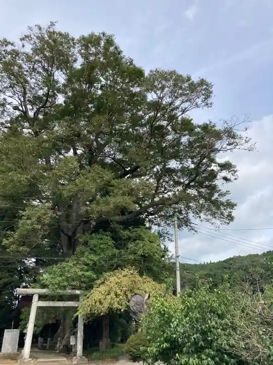 向田神社(栃木県)