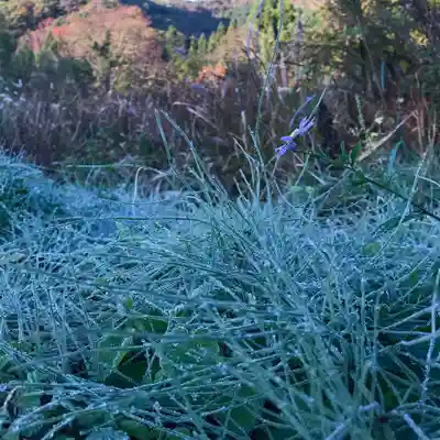 高司神社〜むすびの神の鎮まる社〜(福島県)