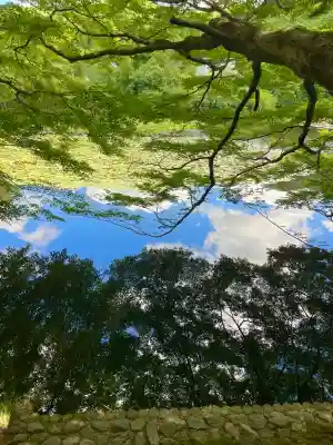龍安寺の{uncategorized: "未分類", other: "その他", undefined: "問題あり", building: "その他建物", grave: "お墓", sacred_gate: "鳥居", guardian: "狛犬", statue: "像", buddha: "仏像", history: "歴史", nature: "自然", garden: "庭園", animal: "動物", pagoda: "塔", temizu: "手水舎", mountain_gate: "山門・神門", sanctuary: "本殿・本堂", subordinate: "末社・摂社", art: "芸術", scenery: "景色", jizo: "地蔵", ema: "絵馬", goshuin: "御朱印", omikuji: "おみくじ", items: "授与品その他", amulet: "お守り", goshuincho: "御朱印帳", eats: "食事", festival: "お祭り", votive_dance: "神楽", shichigosan: "七五三参", wedding: "結婚式", experience: "体験その他", initially: "初詣", around: "周辺", anti_infection: "感染症対策"}