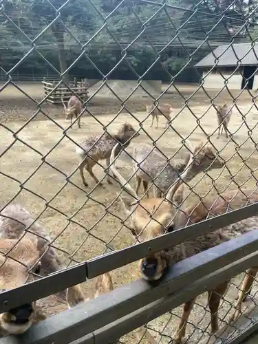 鹿島神宮(茨城県)