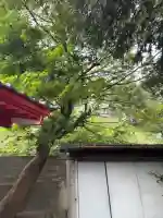 宝玉稲荷神社の{uncategorized: "未分類", other: "その他", undefined: "問題あり", building: "その他建物", grave: "お墓", sacred_gate: "鳥居", guardian: "狛犬", statue: "像", buddha: "仏像", history: "歴史", nature: "自然", garden: "庭園", animal: "動物", pagoda: "塔", temizu: "手水舎", mountain_gate: "山門・神門", sanctuary: "本殿・本堂", subordinate: "末社・摂社", art: "芸術", scenery: "景色", jizo: "地蔵", ema: "絵馬", goshuin: "御朱印", omikuji: "おみくじ", items: "授与品その他", amulet: "お守り", goshuincho: "御朱印帳", eats: "食事", festival: "お祭り", votive_dance: "神楽", shichigosan: "七五三参", wedding: "結婚式", experience: "体験その他", initially: "初詣", around: "周辺", anti_infection: "感染症対策"}