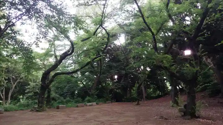 芝東照宮の自然