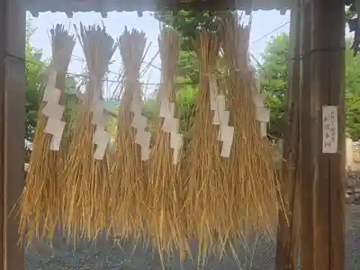 大歳神社(京都府)