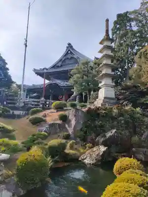 豊川閣 妙厳寺の庭園