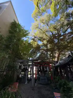 若一神社(京都府)
