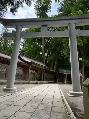白山比咩神社の{uncategorized: "未分類", other: "その他", undefined: "問題あり", building: "その他建物", grave: "お墓", sacred_gate: "鳥居", guardian: "狛犬", statue: "像", buddha: "仏像", history: "歴史", nature: "自然", garden: "庭園", animal: "動物", pagoda: "塔", temizu: "手水舎", mountain_gate: "山門・神門", sanctuary: "本殿・本堂", subordinate: "末社・摂社", art: "芸術", scenery: "景色", jizo: "地蔵", ema: "絵馬", goshuin: "御朱印", omikuji: "おみくじ", items: "授与品その他", amulet: "お守り", goshuincho: "御朱印帳", eats: "食事", festival: "お祭り", votive_dance: "神楽", shichigosan: "七五三参", wedding: "結婚式", experience: "体験その他", initially: "初詣", around: "周辺", anti_infection: "感染症対策"}