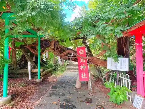 白鳥神社(宮城県)