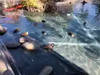 川崎大師(平間寺)の庭園